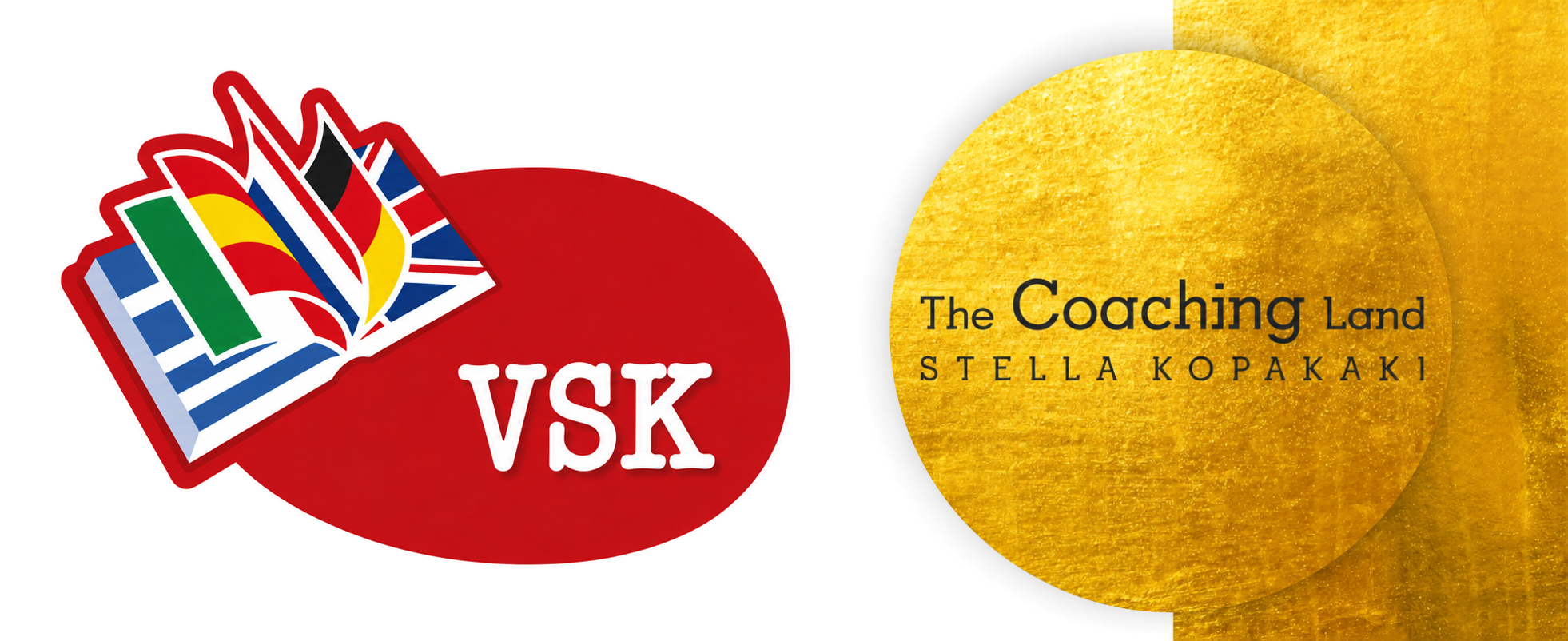 vsk logo transparent