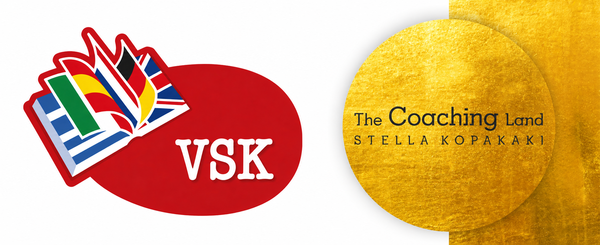 vsk new logo